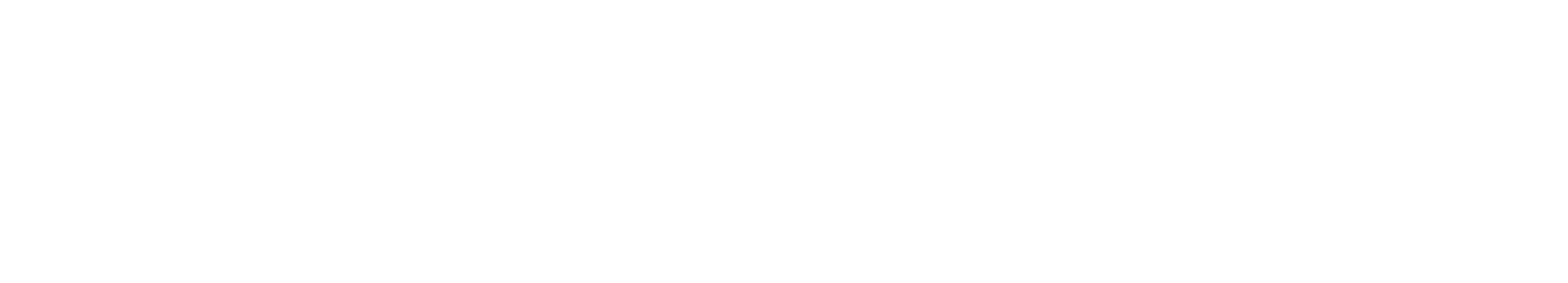 TEN Logo negativ weiss